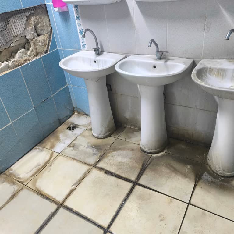 Van Çaldıran Kütüphanesinde Hijyen Ve Bakım Sorunları Acil Çözüm Gerektiriyor