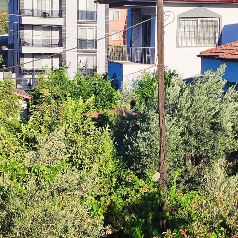 Beş Gün Süren İnternet Kesintisi Ve Müşteri Hizmetlerinden Çözüm Eksikliği