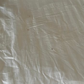 Kirli Çarşaf Ve Yastık Kılıfları Oda Temizliğinin İhmal Edildiği Şikayetimiz