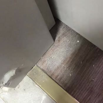 Ankara Miss Temizlik İşi Gelişi Güzel Yaptılar