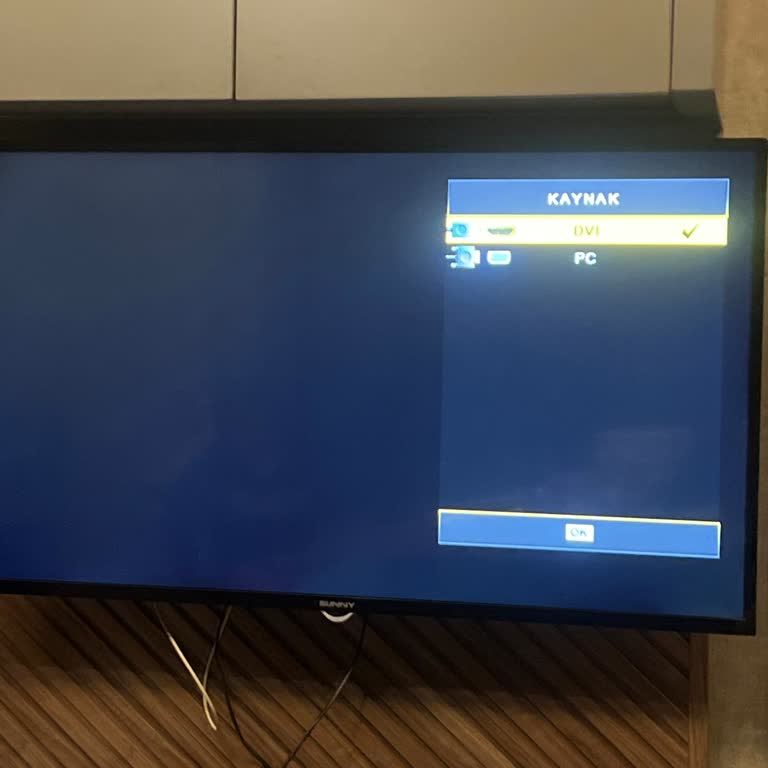 Sunny Televizyonumda Sinyal Yok Sorunu, Garanti Kapsamında Hızlı Onarım İsteği