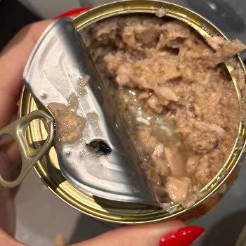 Wawa Ton Balığında Arı Buldum Hijyen Ve Gıda Güvenliği Sorunu