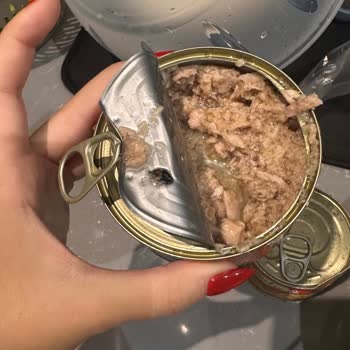 Wawa Ton Balığında Arı Buldum Hijyen Ve Gıda Güvenliği Sorunu
