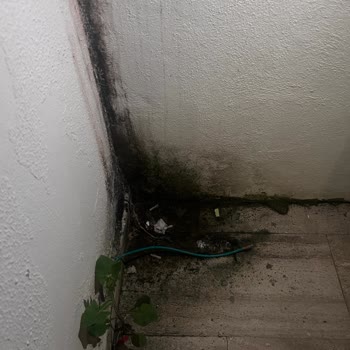 Sağlığımızı Tehlikeye Atan Hijyen Sorunları Ve Jolly’den İade Talebi
