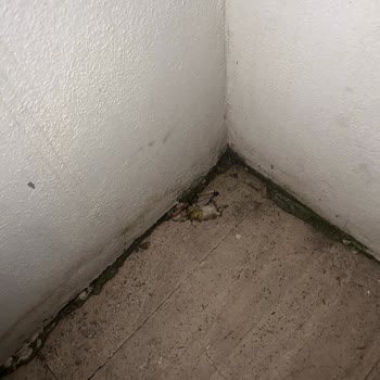 Sağlığımızı Tehlikeye Atan Hijyen Sorunları Ve Jolly’den İade Talebi