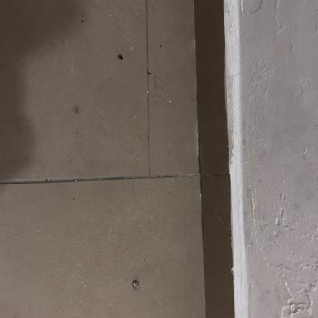 Sağlığımızı Tehlikeye Atan Hijyen Sorunları Ve Jolly’den İade Talebi
