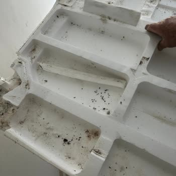 Bosch Buzdolabının Ambalajında Fare Dışkısı Tespit Edildi: Değişim Ve İade İsteği