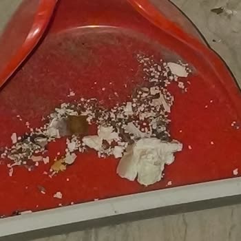 Bosch Buzdolabının Ambalajında Fare Dışkısı Tespit Edildi: Değişim Ve İade İsteği