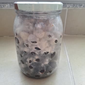 A101 Şubesinde Kapalı Zeytin Ürünün Küflenmesi ve Gıda Güvenliği Endişesi