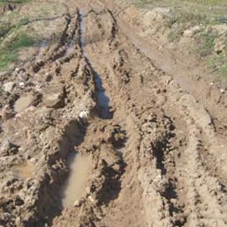 Dereağzı Mahallesindeki Çamurlu Yolun Asfaltlanması Talebi