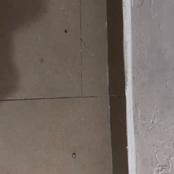 Bodrum Phoenix Sun Hotel’de Hijyen Ve Hizmet Sorunları Nedeniyle Tek Gecelik Ücret İadesi Talebi