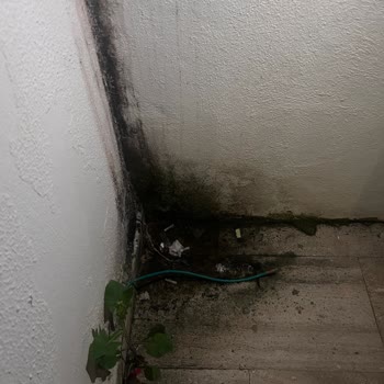 Bodrum Phoenix Sun Hotel’de Hijyen Ve Hizmet Sorunları Nedeniyle Tek Gecelik Ücret İadesi Talebi