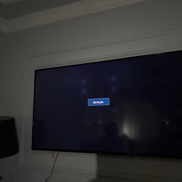 Samsung Televizyon Ve Buzdolabında Kalite Sorunları Ve Sorumluluk Almayan Servis