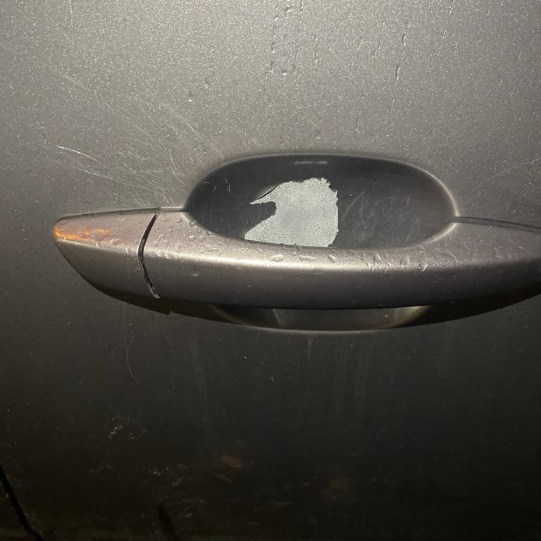 Peugeot Rifter Sol Arka Kapısının Boyası Kalkıyor Ve Korozyon Riski