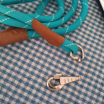 Kırılan Köpek Kayışı Yaralanmalara Yol Açtı: Güvenlik Ve İade Talebi