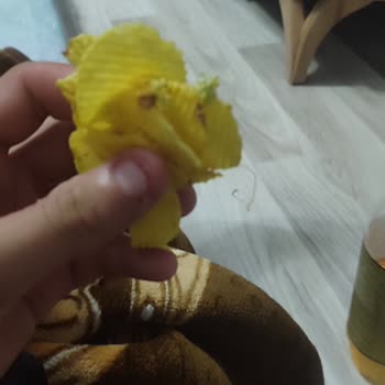 Lay’s Cipsinde Yabancı Madde Bulundu, Sağlık Ve Hijyen Endişesi