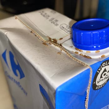 Carrefour Süt Paketinde Böcekler: Hijyen Ve Güvenlik Endişesi