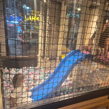 Magic Akademi Pendik Şubesinde Oyun Alanı Hakkında Yanıltıcı Bilgi Ve Kaba Tavır