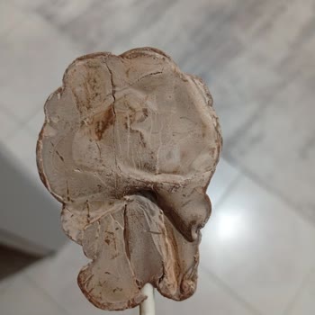 Tarih Geçmemiş Bozulmuş Ozmo Fun Çikolatası Çocuğumun Kusmasına Ve Hastalanmasına Neden Oldu