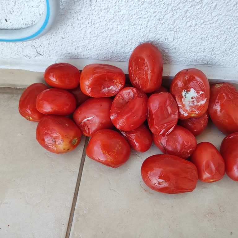 Migros Sanal Market'te Çürük Domates Teslimatları Ve Müşteri Güveni Sarsıldı