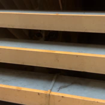 Kedi Yavrusu Panellerde Kilitli, İtfaiye Ve Gediz Elektrik Müdahalesiz