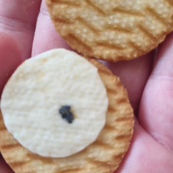 Ülker Kremalı Bisküvilerde Simsiyah Yabancı Madde Gıda Güvenliği Endişesi