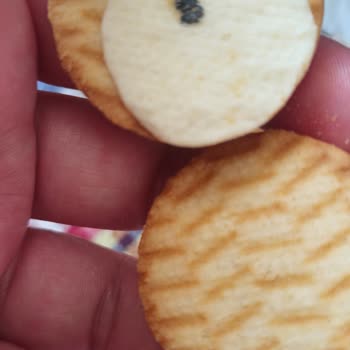 Ülker Kremalı Bisküvilerde Simsiyah Yabancı Madde Gıda Güvenliği Endişesi
