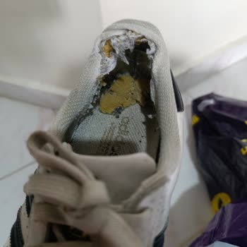 Ankamall SuperStep Mağazasından Alınan Adidas Superstar Ayakkabının Hızlı Bozulması Ve Mağazanın İlgisiz Tutumu