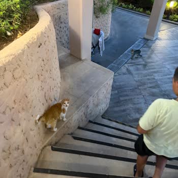 Sueno Hotel Side’de Hijyen Sorunları Ve İade Reddi