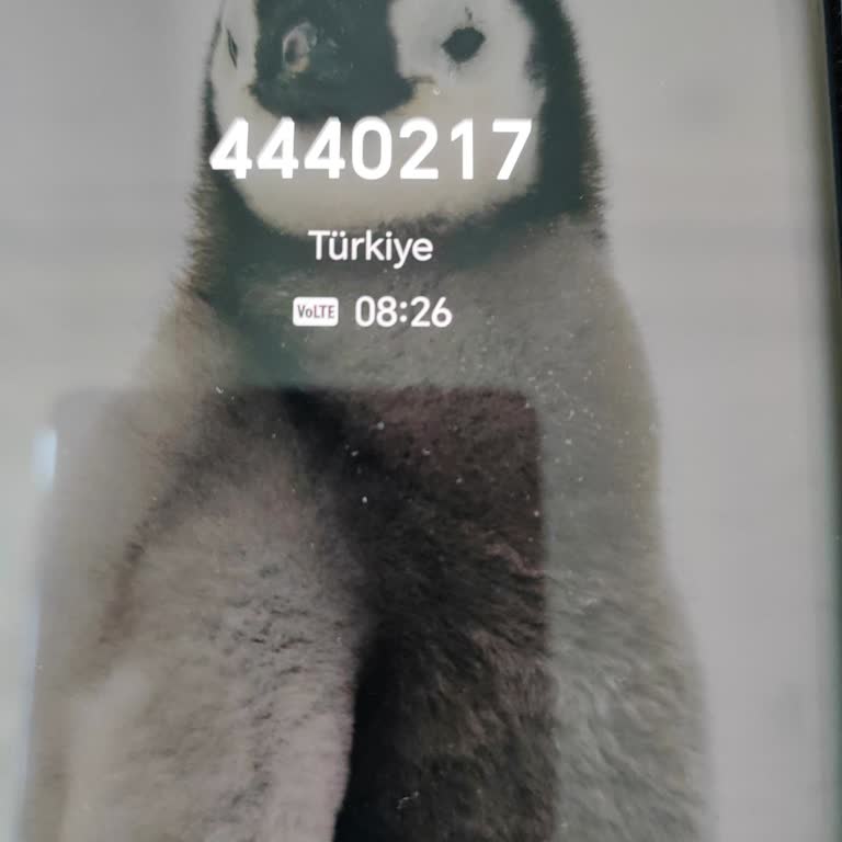 Telefonla Müşteri Hizmetlerine Ulaşılamıyor Ve Abonelik İptali Gerçekleşmiyor
