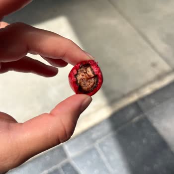 Bozulmuş Çilekli Frutibon Satışı Nedeniyle Sağlık Endişesi Ve İade Talebi