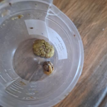 Canlı Pet Shop’ta Özensiz Paketleme Ve Özürsüz Tavır