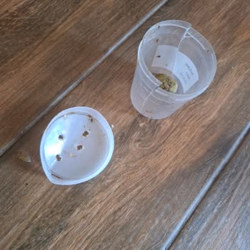 Canlı Pet Shop’ta Özensiz Paketleme Ve Özürsüz Tavır