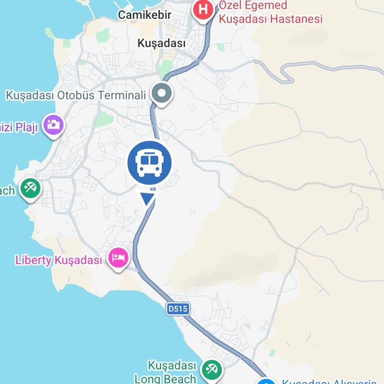Didim Seyahat'te Otobüs Seferi İptali ve Bilet İadesi Talebi