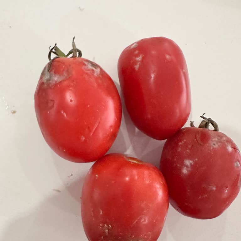Migros Sanal Market'ten Gelen Domateslerde 7,3 Kg Eksik Ve Küflü Ürün Şikayeti