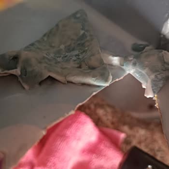 Migros Çekmeköy Şubesinde Süt Ürününün Küf Sorunu Ve Gıda Güvenliği Riskleri