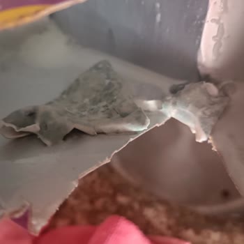 Migros Çekmeköy Şubesinde Süt Ürününün Küf Sorunu Ve Gıda Güvenliği Riskleri