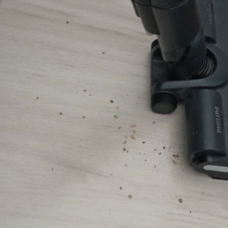 Philips 6000 Powercyclone Süpürge Toz Bırakma Sorunu Ve Değişim Talebi