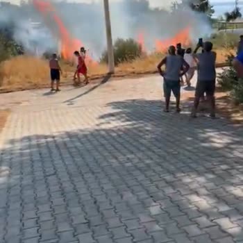 Didim Akbük’te Trafik Hattı Yangını Ev Ve Ormanı Tehdit Ediyor, Acil Yenileme Talebi