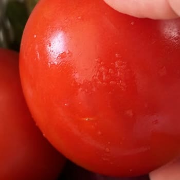 Migros Kahramanmaraş’tan Bozuk Et Ve Sebze Ürünleri Sorunu