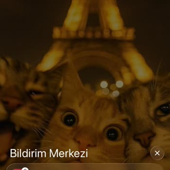 Eki aç