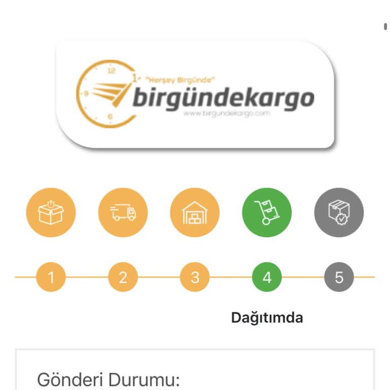 Teslim Edilmeyen Kargo Ve Müşteri Hizmetleri Sorunu