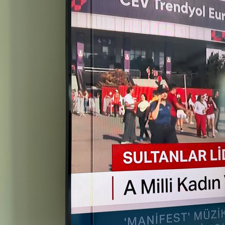 Kurulum Sonrası Dikey Çizgi Oluşan LG Televizyon İçin Kullanıcı Hatası İddiası Reddi