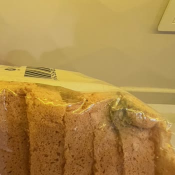 Metro Market Tost Ekmeğinde Küflenme Ve İnceleme Talebi