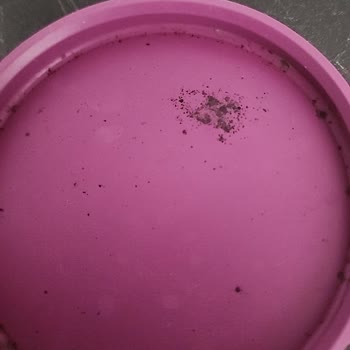 Paşabahçe Sürahi Kapakta Görülen Küf Sorunu İçin Yeni Kapak Talebi