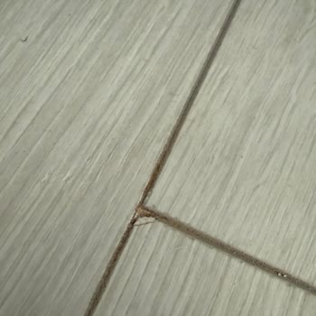 Çamsan Yetkili Bayisinde Parke Ve Süpürgelik İşinde Eksik Ve Hatalı İşçilik