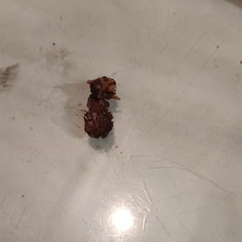 Trendyol GO'dan Gelen Arby's Siparişinde Yanmış Et Parçaları