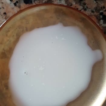İndirimli Bozuk Süt Ürünü Mağduriyeti Ve Marketin İlgisizliği