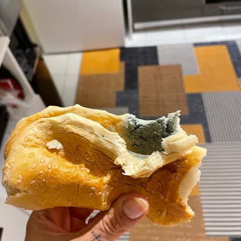 Kocaeli Migros’ta Küflü Ekmek Satışı Sağlık Riski
