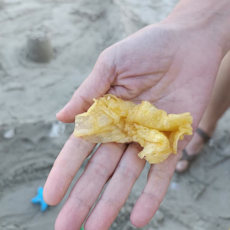 Lay’s Cips Paketi İçinde Sert Ve Kötü Kokulu Parça